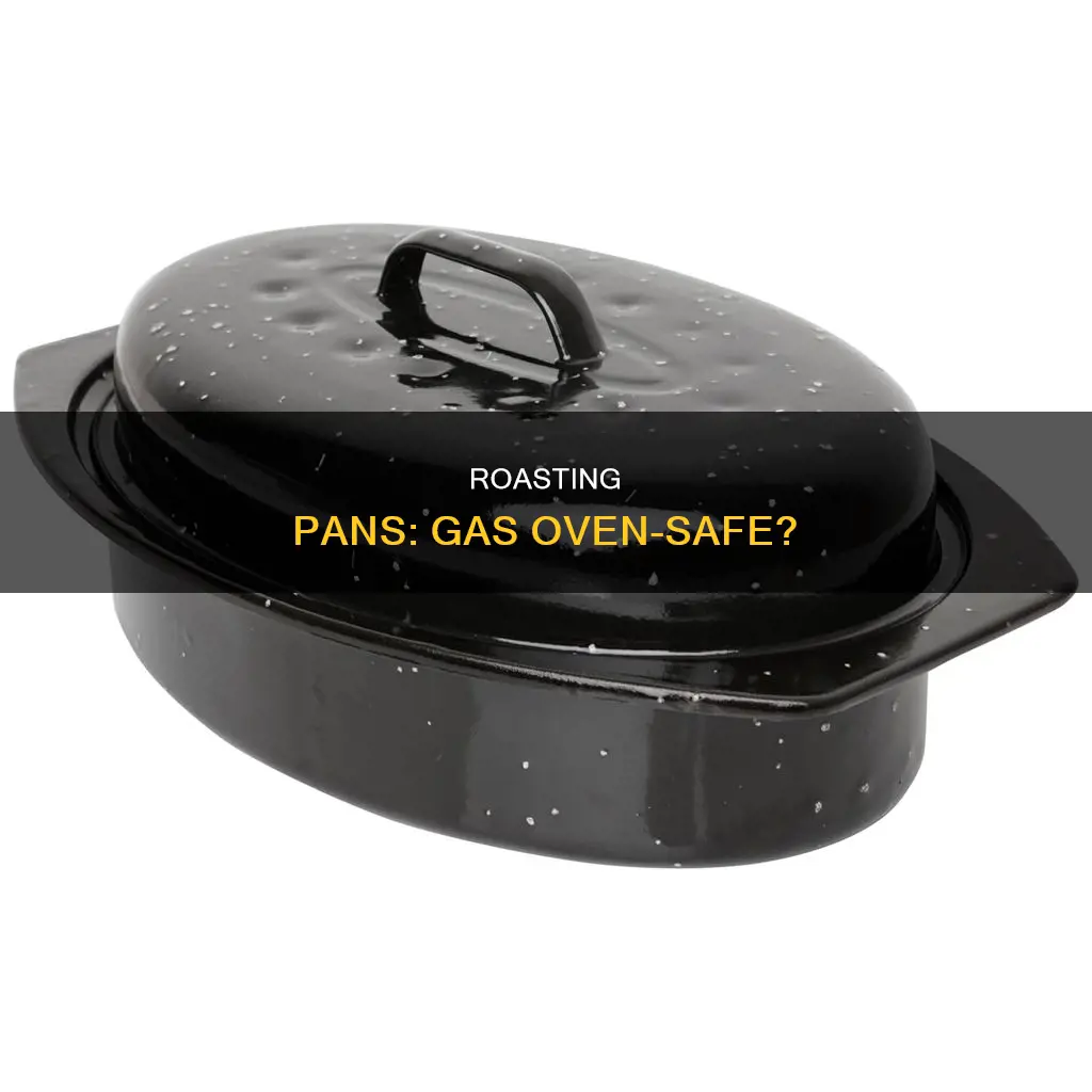 what roasting pans are safe for gas ovens