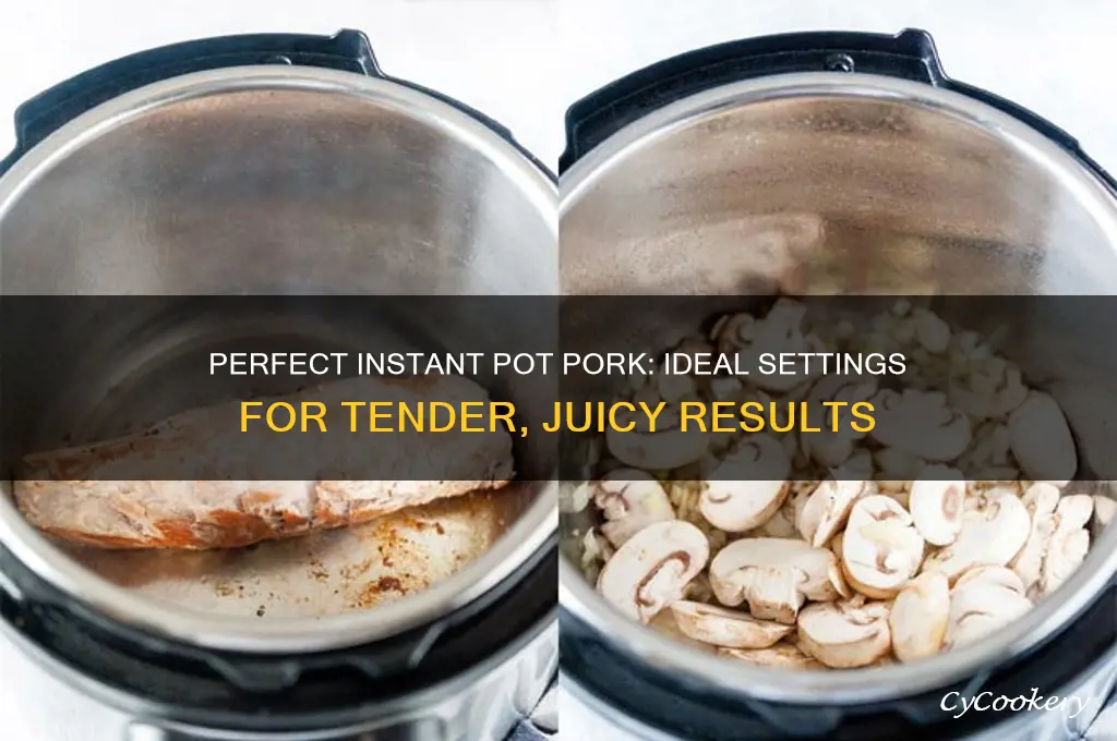 what seting do I cook pork on in intant pot