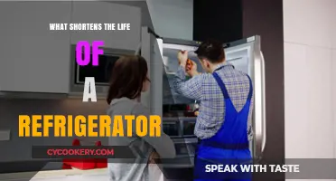 Avoid These Mistakes: What Shortens the Life of Your Refrigerator