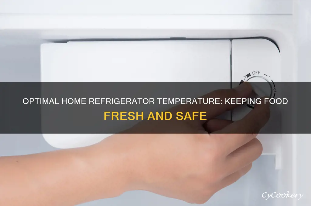 what should a home refrigerator temperature be