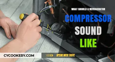 Understanding Normal Refrigerator Compressor Sounds: What to Listen For