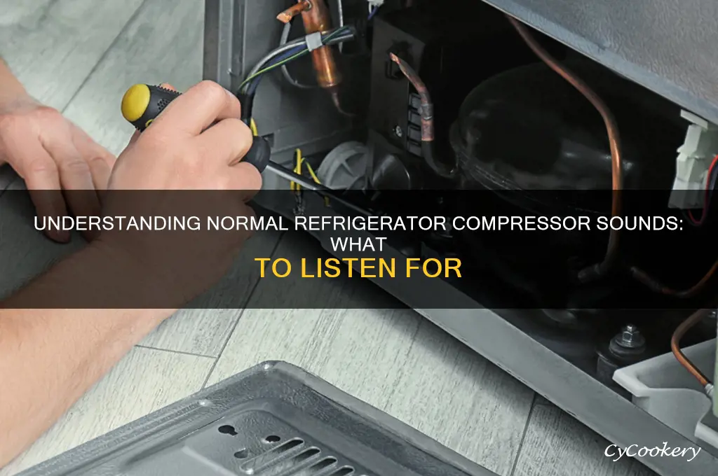 what should a refrigerator compressor sound like