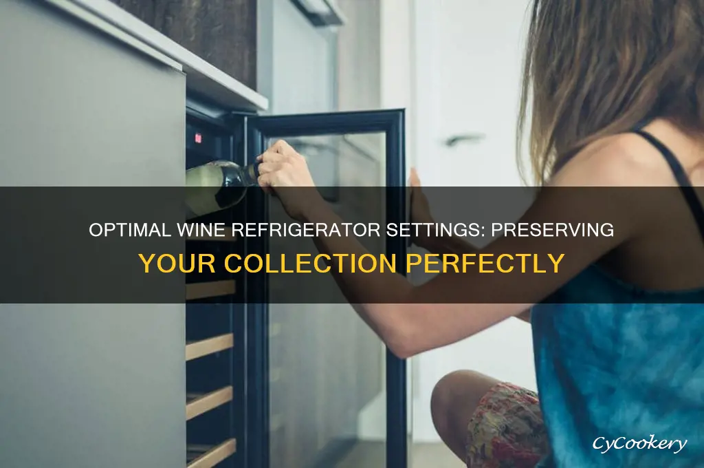 what should a wine refrigerator be set