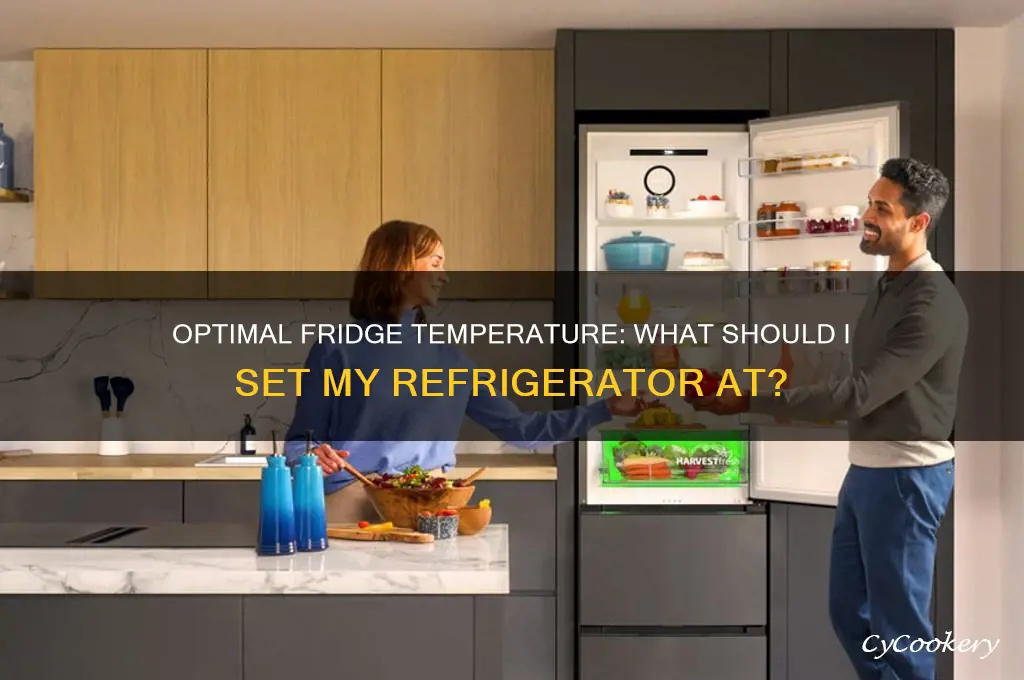 what should i set my refrigerator at