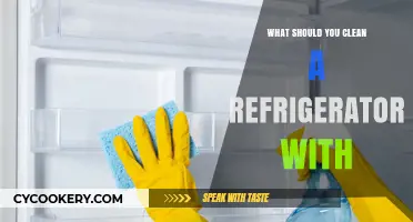 Best Refrigerator Cleaning Tips: Safe and Effective Solutions to Use
