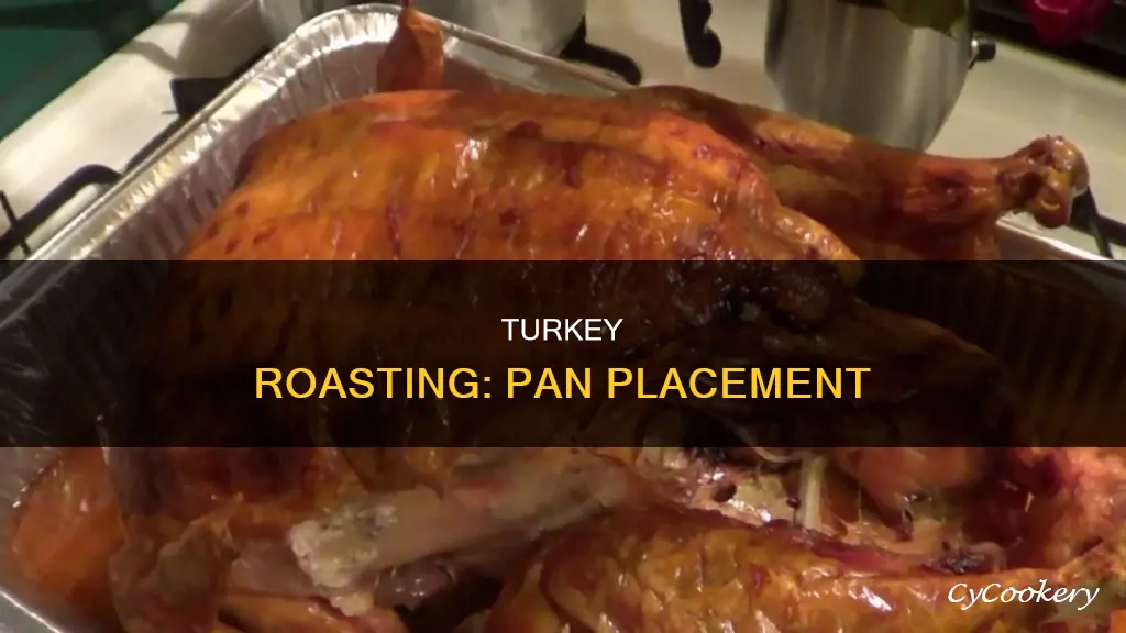 what sidevdo I place my turkey in pan to roast