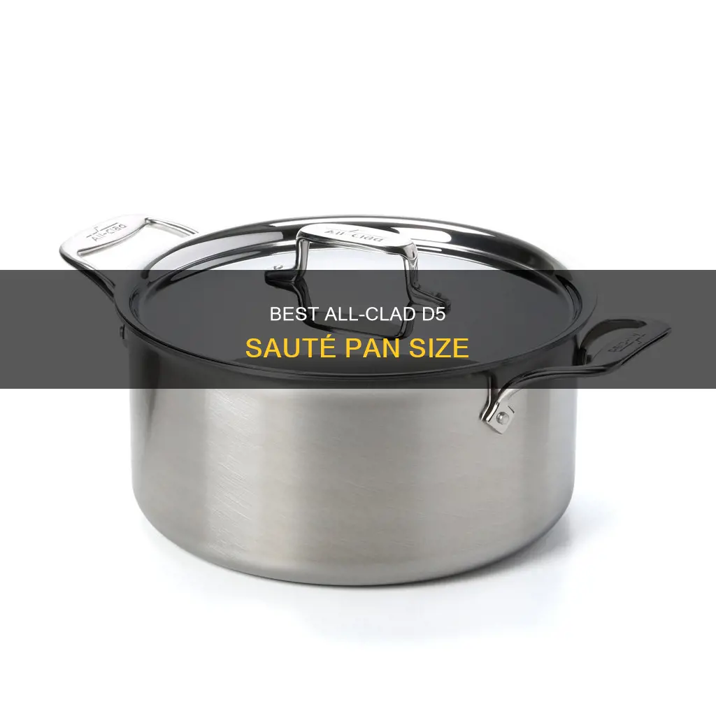 what size 6 qt all-clad d5 stainless-steel sauté pan