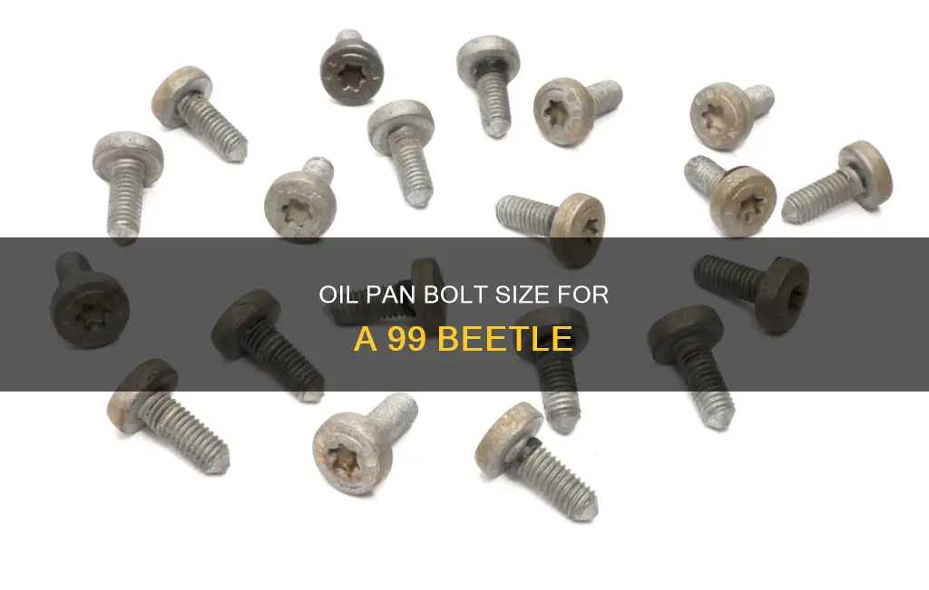 what size 99 beetle oil pan bolt