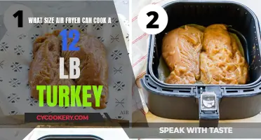 The Ultimate Guide to Air Frying a 12-Pound Turkey: Size Matters!