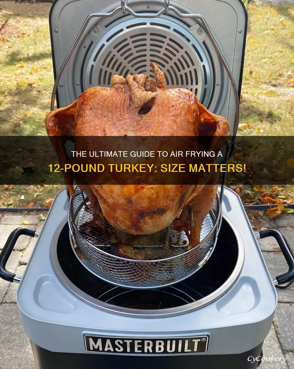 what size air fryer can cook a 12 lb turkey