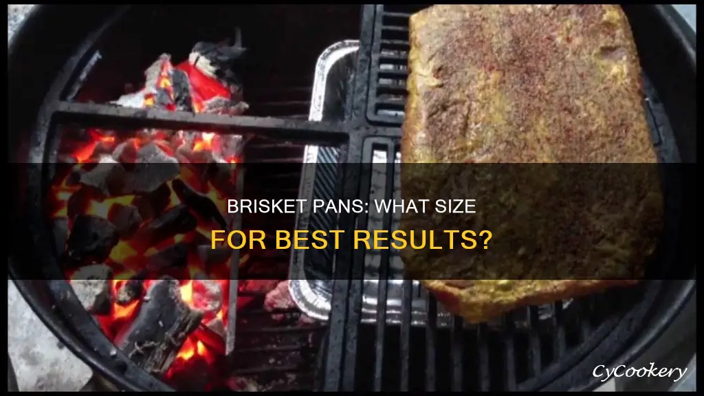 what size are those large brisket pan