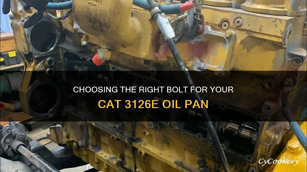 what size bolt in cat 3126e oil pan drain plug