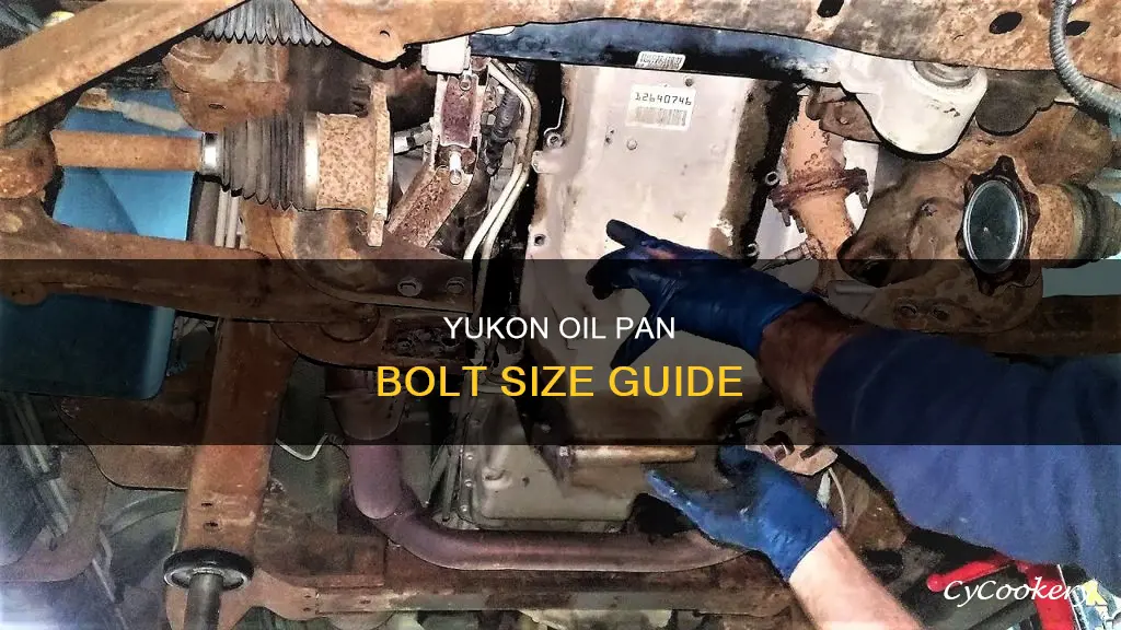 what size bolt in oil pan for gmc yukon