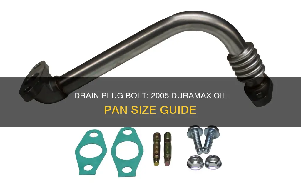 what size bolt is 2005 duramax oil pan drain