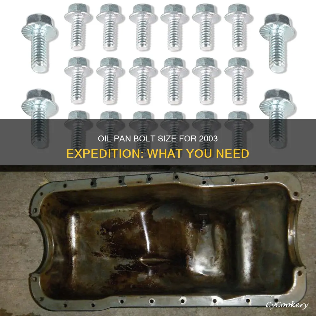 what size bolt on oil pan for 03 expedition