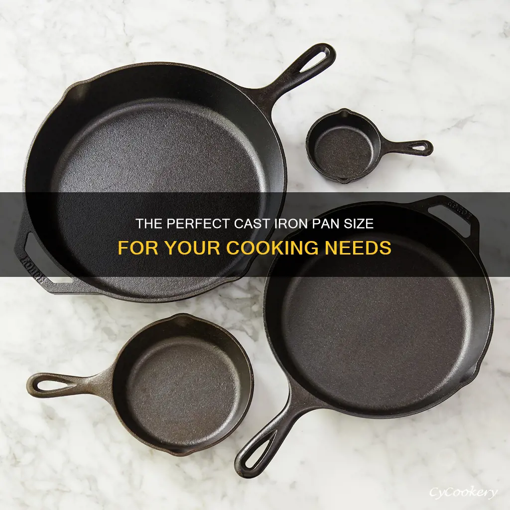 what size cast iron pan