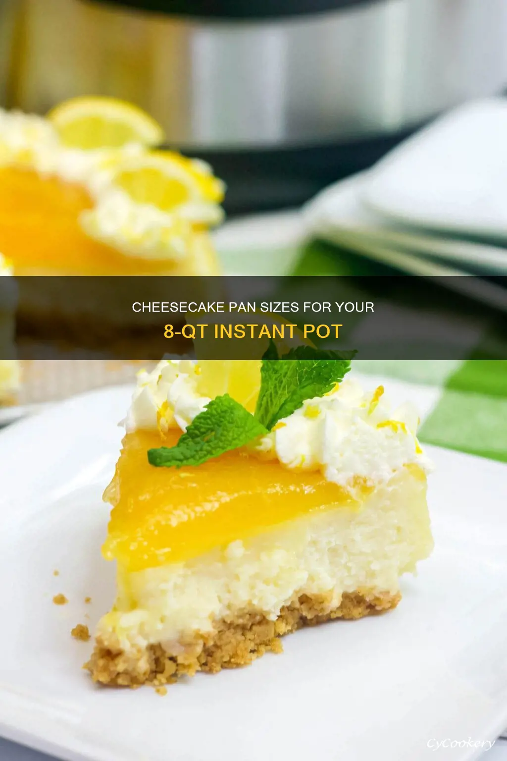 what size cheesecake pan can fit into 8qt instant pot