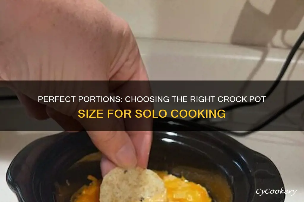 what size crock pot is best when cooking for one