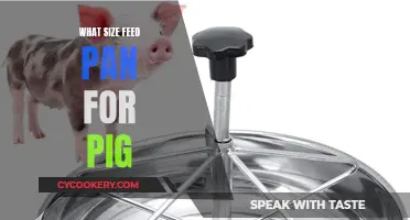 Feed Pan Sizing for Pigs