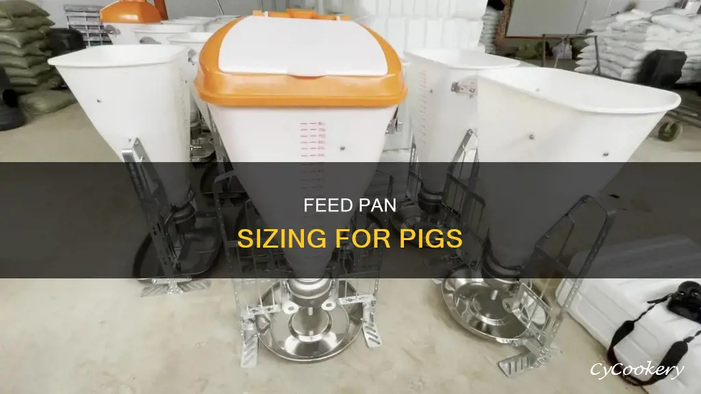 what size feed pan for pig