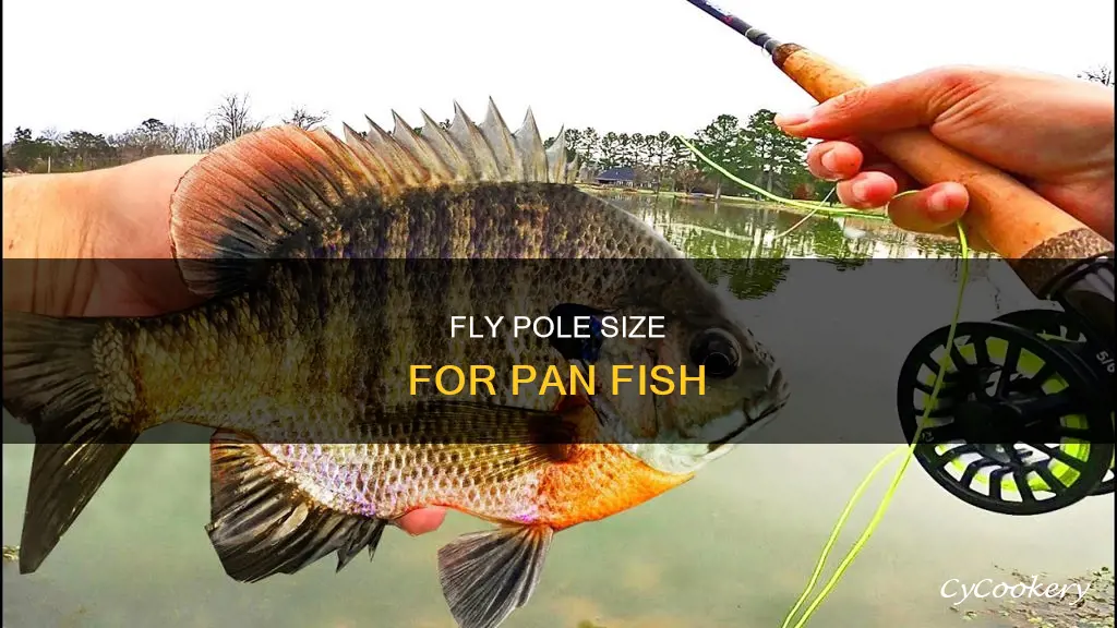 what size fly pole for pan fish