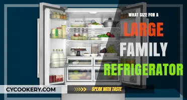 Choosing the Perfect Large Family Refrigerator Size for Your Needs
