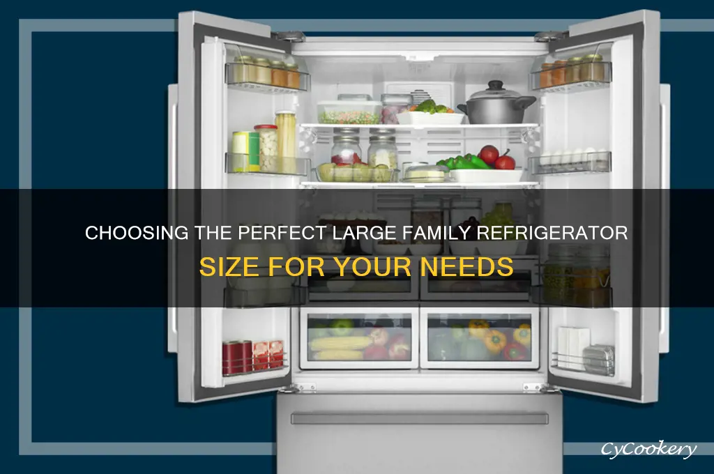 what size for a large family refrigerator