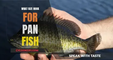 Best Hook Size for Panfish