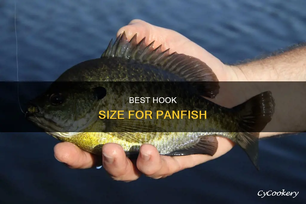 what size hook for pan fish