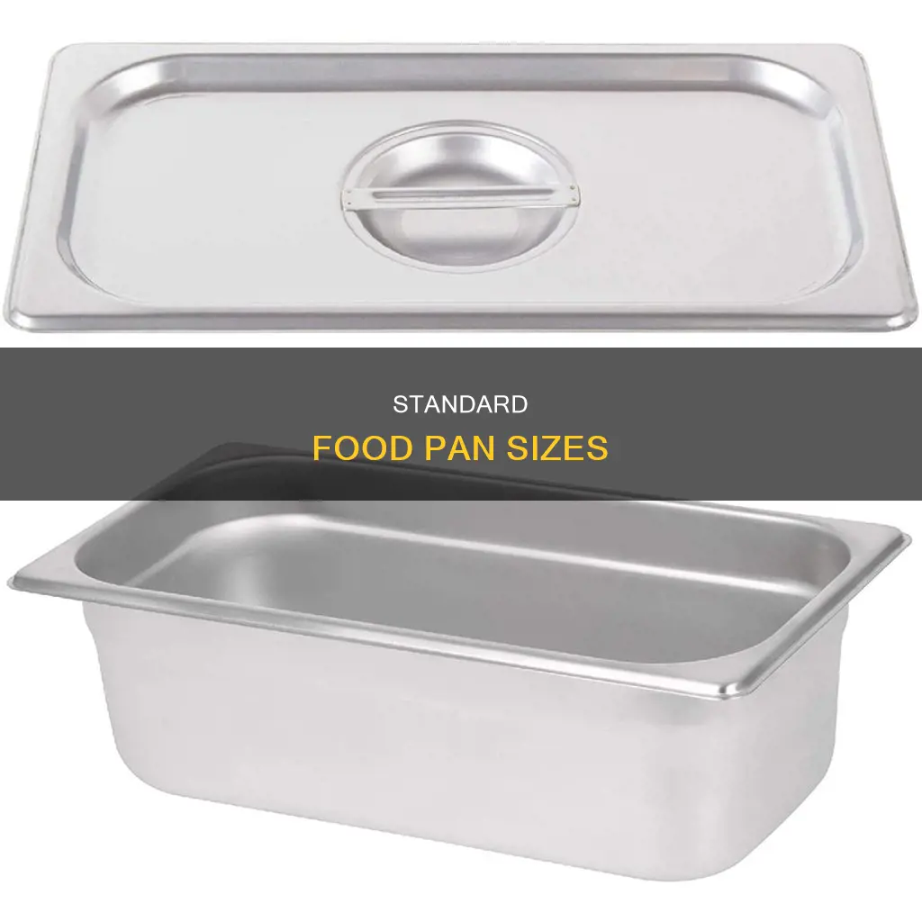 what size is a 1 3 pan