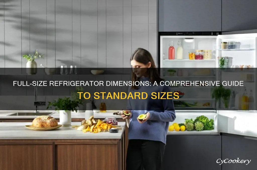 what size is a full size refrigerator