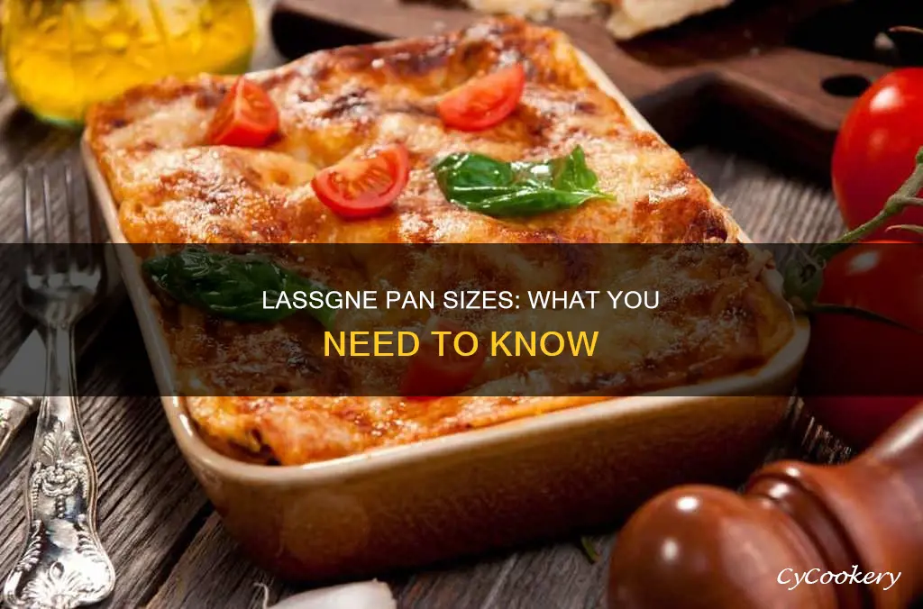 what size is a lassgne pan