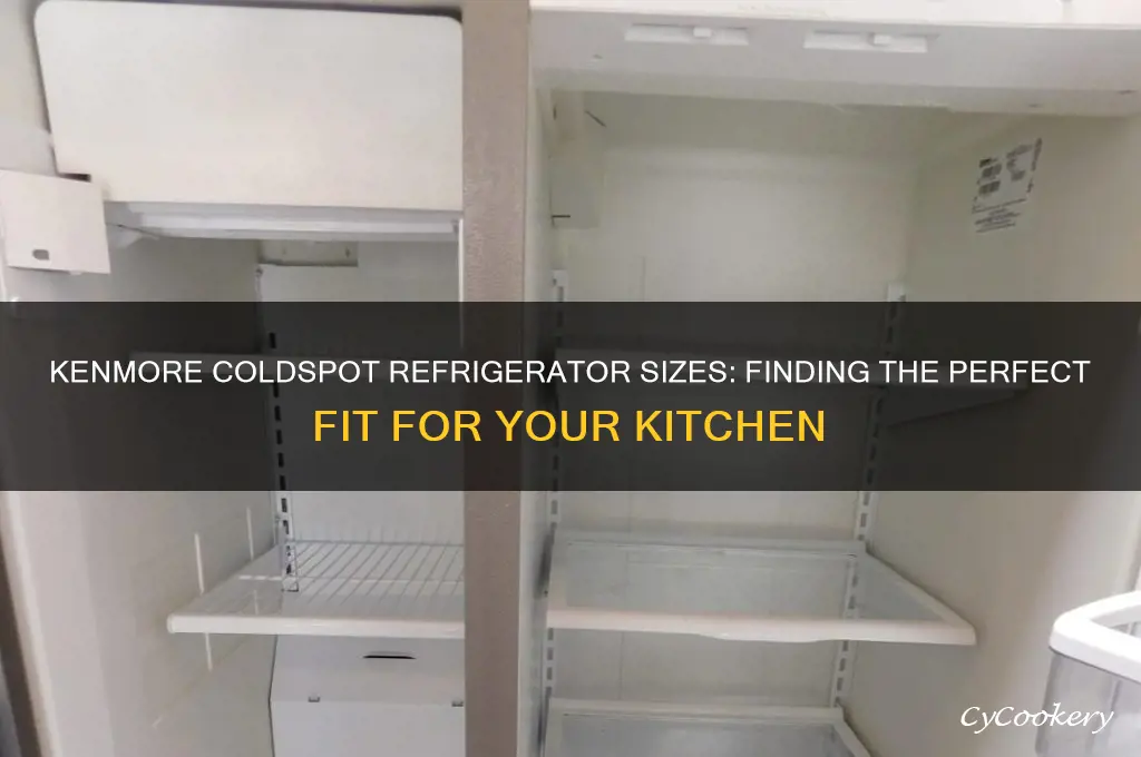 what size is at kenmore coldspot refrigerator