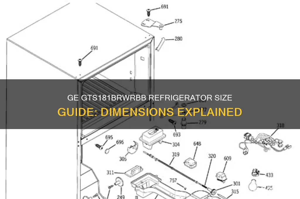 what size is my ge gts181brwrbb refrigerator