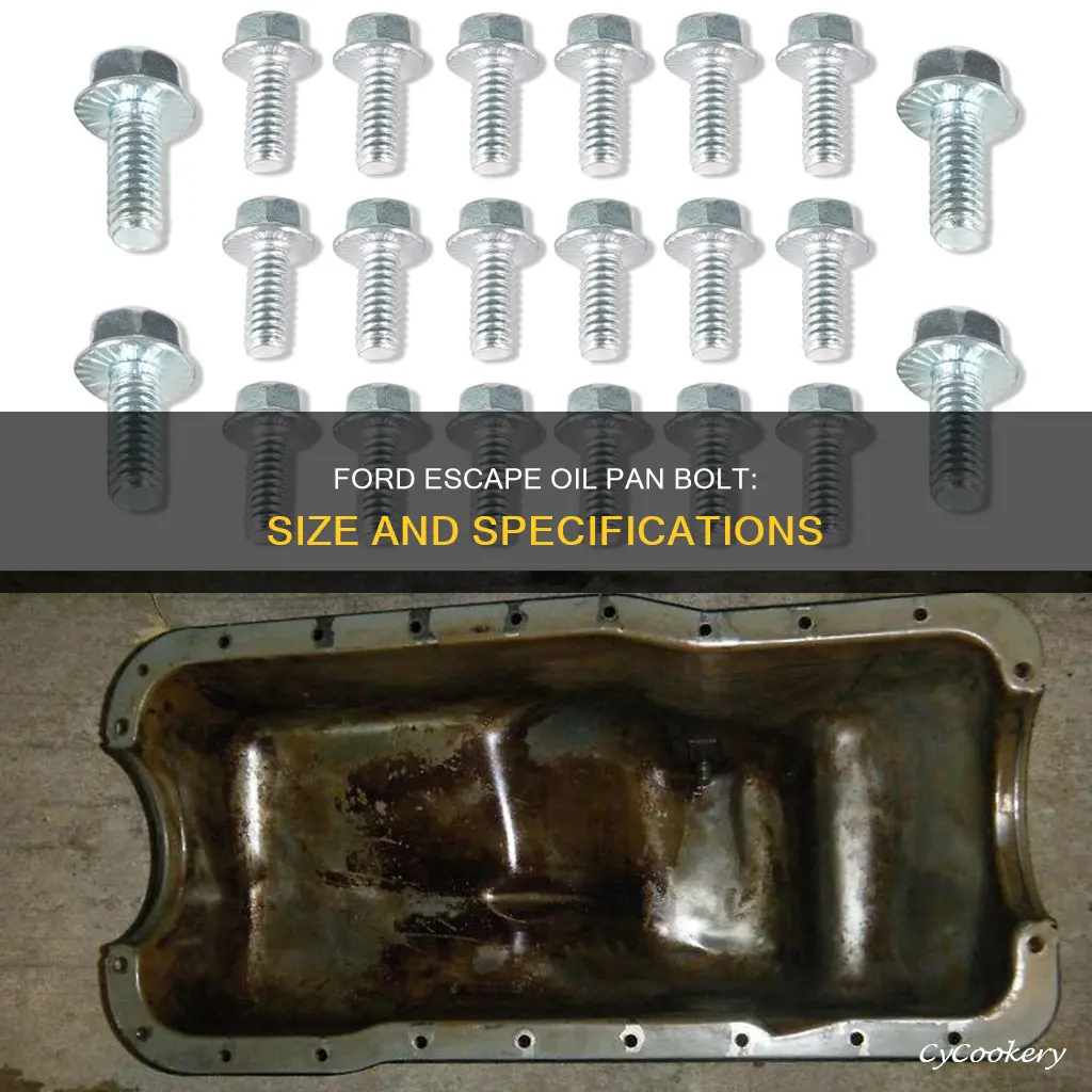 what size is oil pan bolt in 2005 ford escape