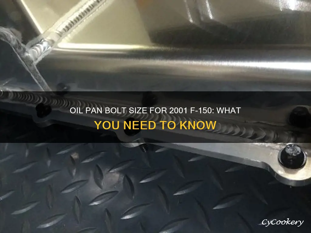 what size is oil pan bolt on 2001 f1_50