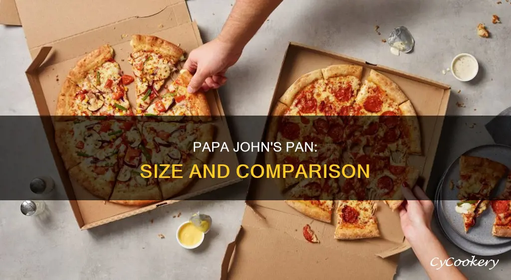 what size is pan size papa johns