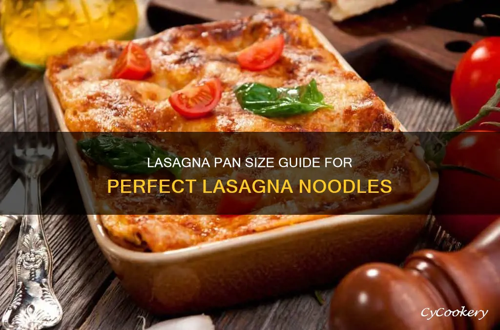 what size lasagna pan for one package of lasagna noodles