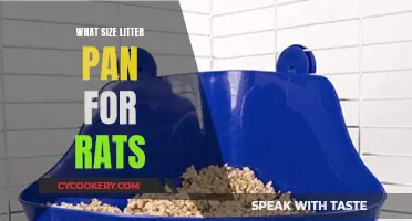 Litter Pan Size for Rats