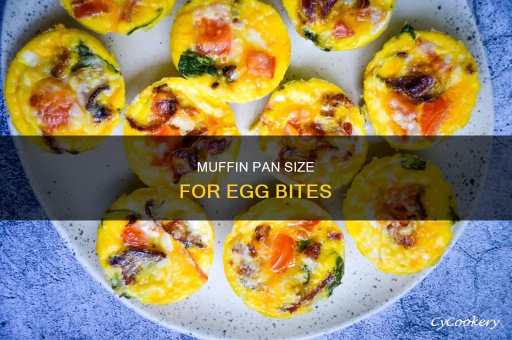 what size muffin pan for egg bites