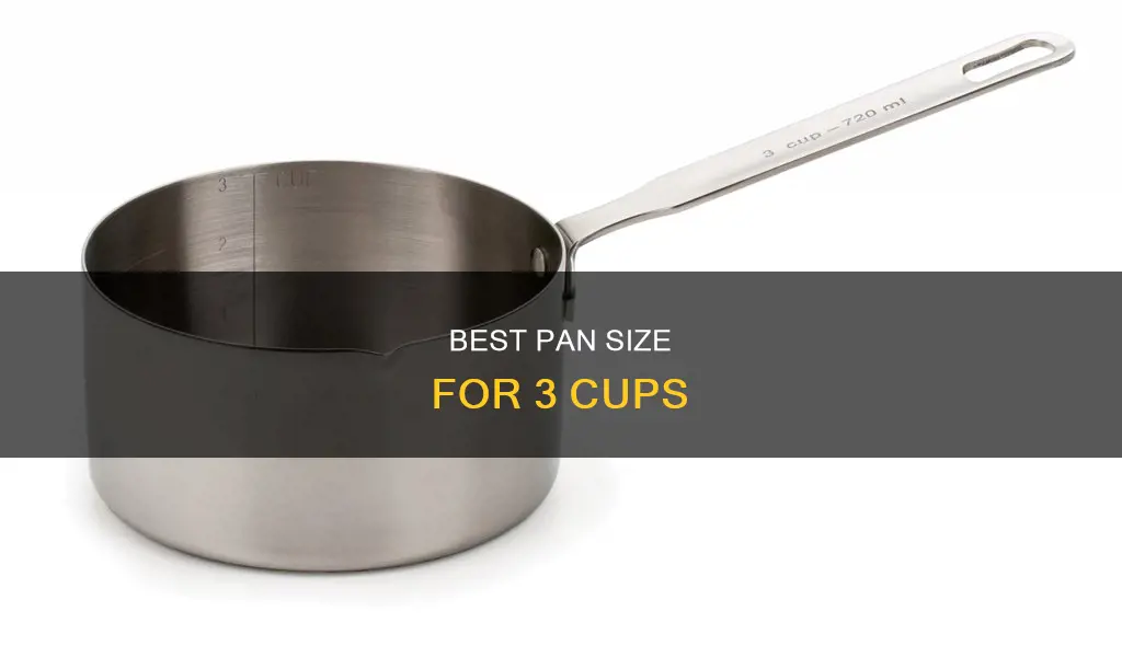 what size of pan holds 3 cups