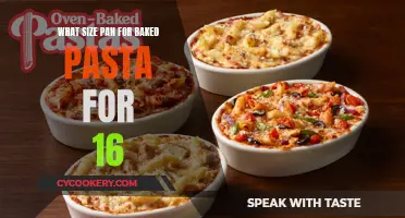 Baked Pasta Pan Size Guide