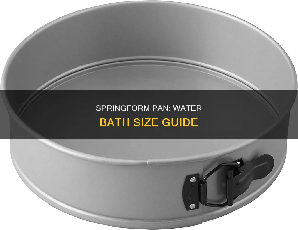 what size pan for water bath for 10 inch spring