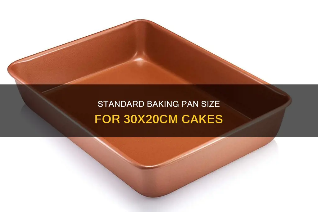 what size pan is a 30x20cm