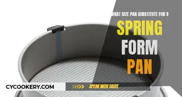 Springform Pan Substitute Sizes