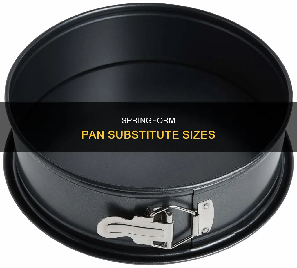 what size pan substitute for 9 spring form pan