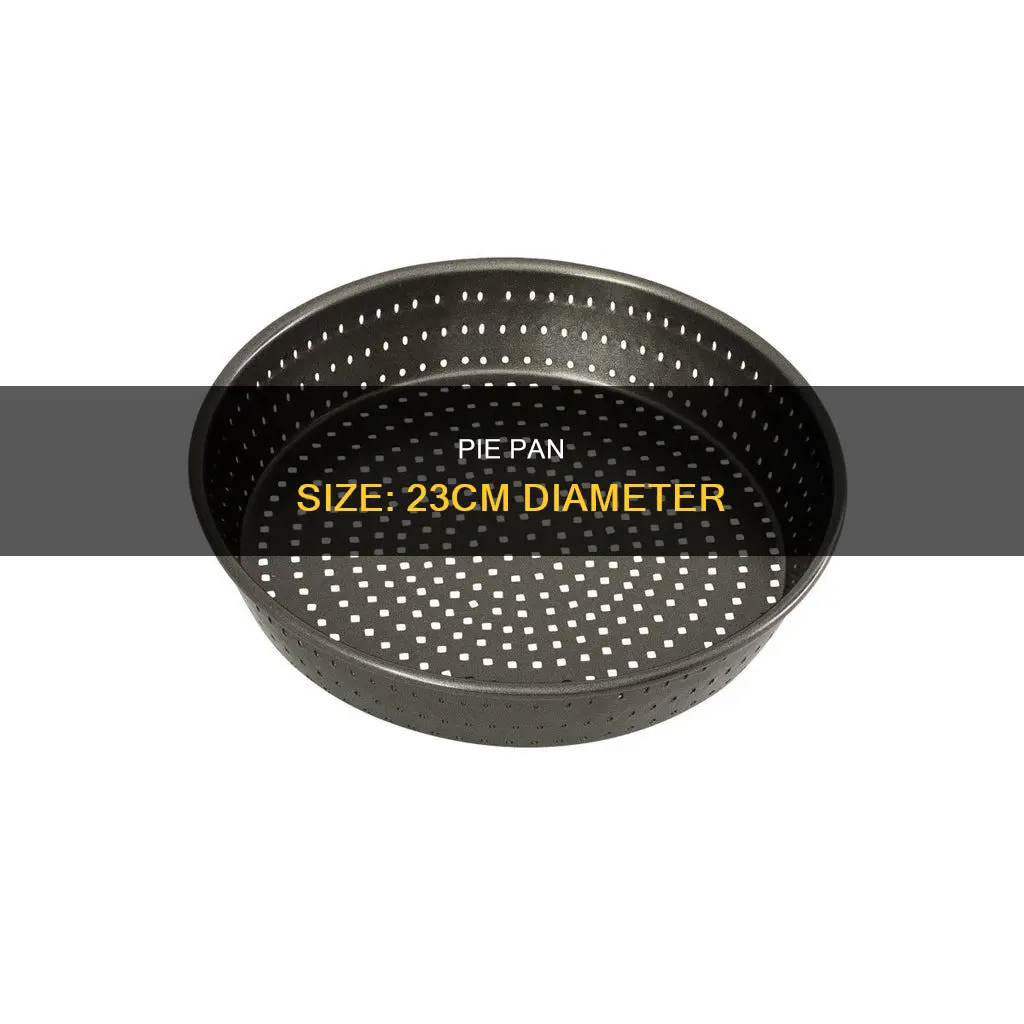 what size pie pan is 23cm