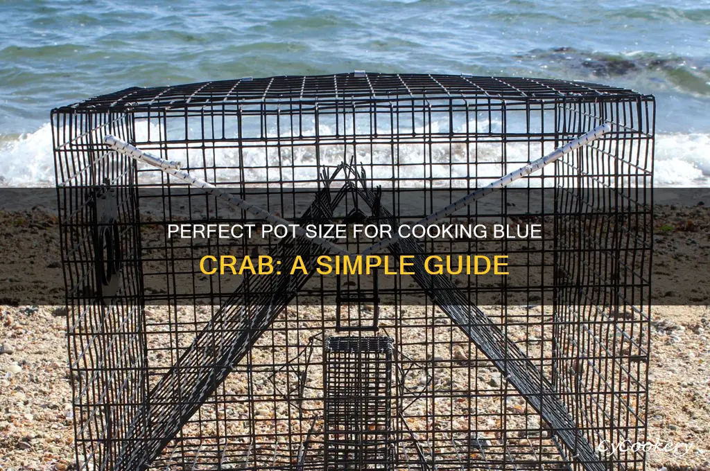 what size pot do I use to cook blue crab