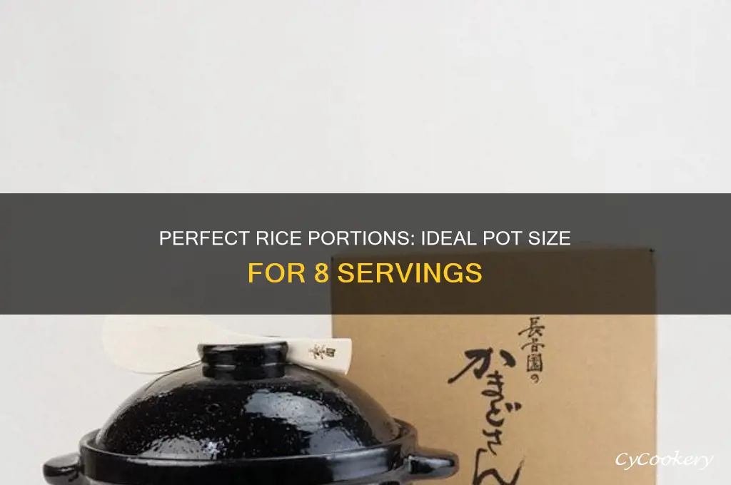 what size pot for cooking 8 servings of rice