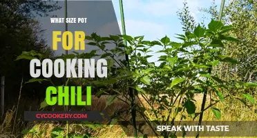 Perfect Pot Size for Cooking Chili: A Guide to Choosing Right